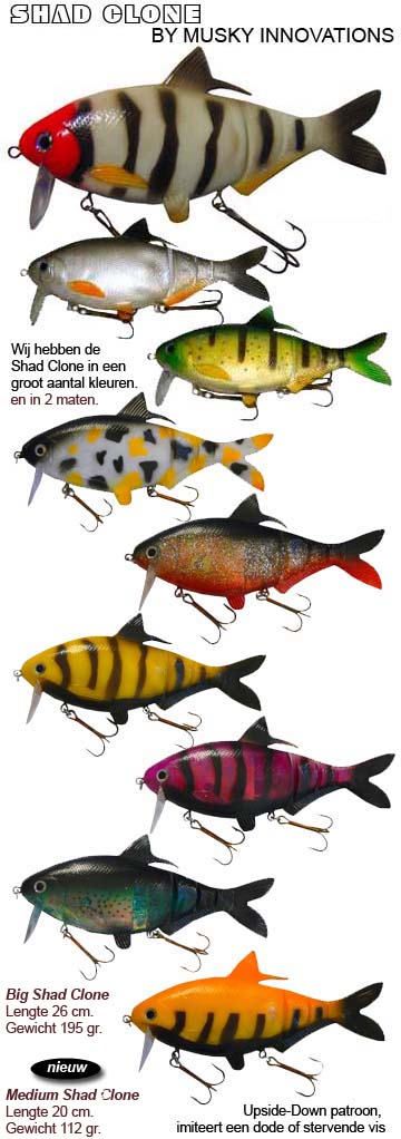 Shad Clone.jpg